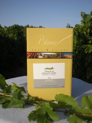 Bib aop blanc 5 l collet vert