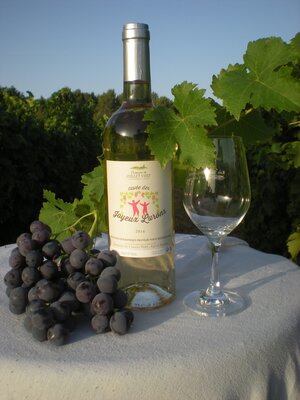 Igp blanc cuvée joyeux lurons
