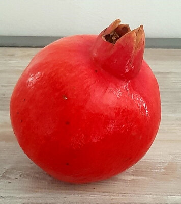 1kg grenades bio