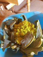 Choux romanesco sans traitement