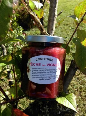 Pêche de vignes