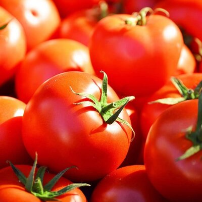 Tomate ronde
