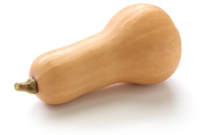 Butternut