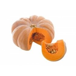 Courge musqué de provence