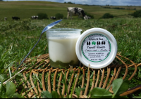 Yaourt lit de fruits citron vert / cactus