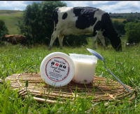 Yaourt lit de fruits fraise