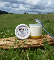 Yaourt lit de fruits mandarine