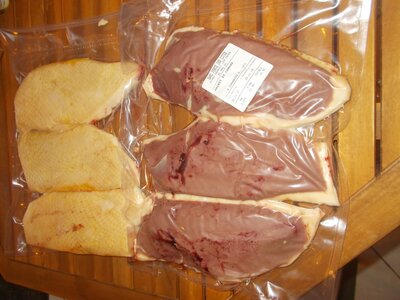 Magret de canard