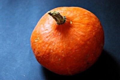 Potimarron