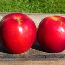 Pomme crimson crisp