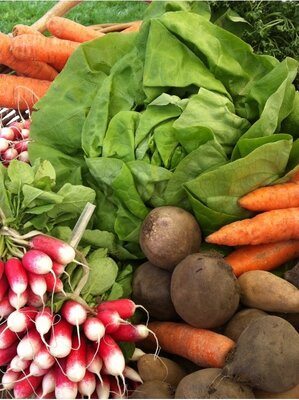 Petit panier de légumes de saison issu du potager bio de servigny