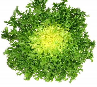 Frisée