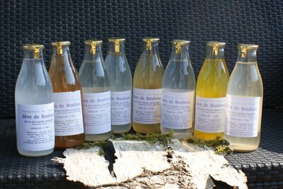 Sève de bouleau fraiche aromatisée ( menthes)
