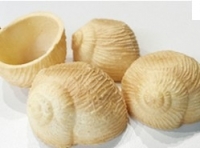 Sachet croquilles vides x24