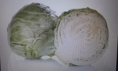 Chou vert lisse