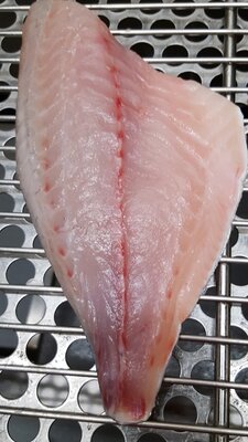 Filet daurade royale