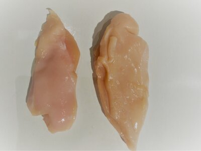 Filet poulet fermier x2