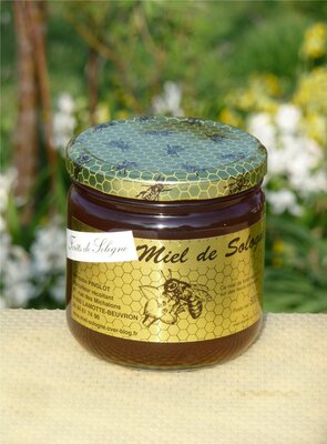 Miel de forêt de sologne été