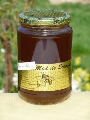 Miel de forêt de sologne été