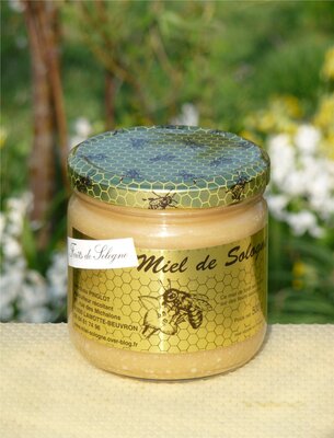 Miel de forêt de sologne crémeux