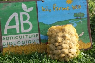 Bio pommes de terre ditta 10kg