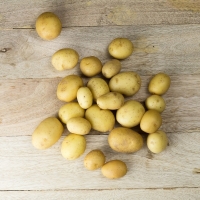 Pomme de terre grenaille