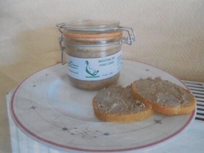 Mousse de foie de canard