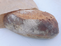 Pain nature 500 gr (batard)