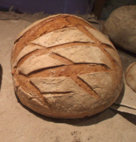 Boule de campagne