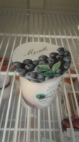 Yaourt lait de vache myrtille