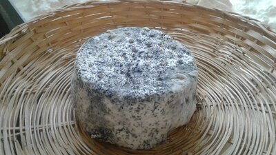 Fromage frais de chèvre
