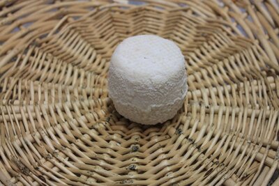 Crottin de chèvre