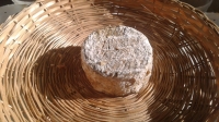 Fromage de chèvre sec
