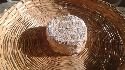 Fromage de chèvre sec