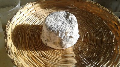 Fromage de vache demi-sec