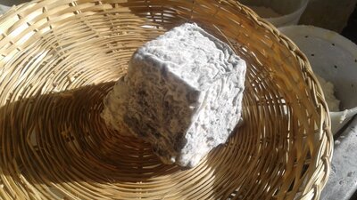 Fromage vache/chèvre demi-sec