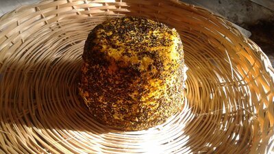 Fromage de vache curry