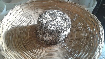 Fromage de chèvre poivre