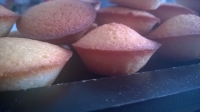 Mini financier