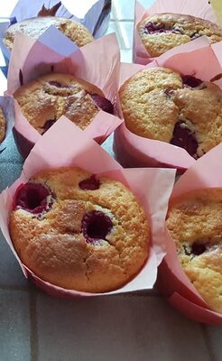 Muffin fruit rouge