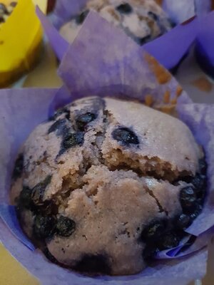 Muffin myrtille