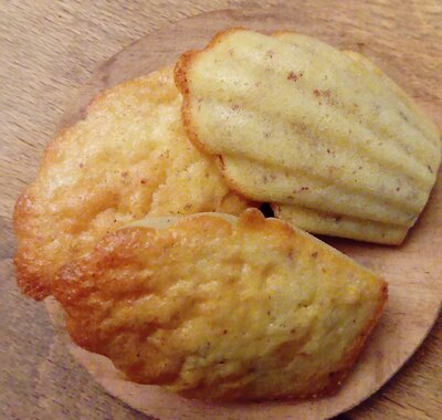 Madeleines