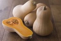 Butternut