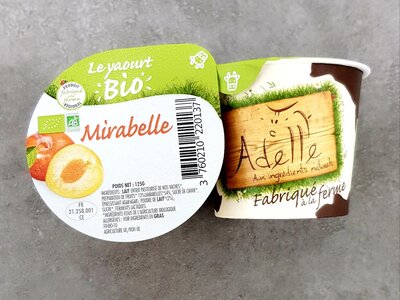 Lot de 6 yaourts mirabelle