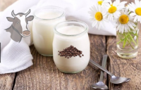 Vache-yaourt pépites de chocolat