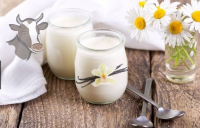 Vache-yaourt saveur vanille