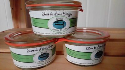 Silure de loire estragon