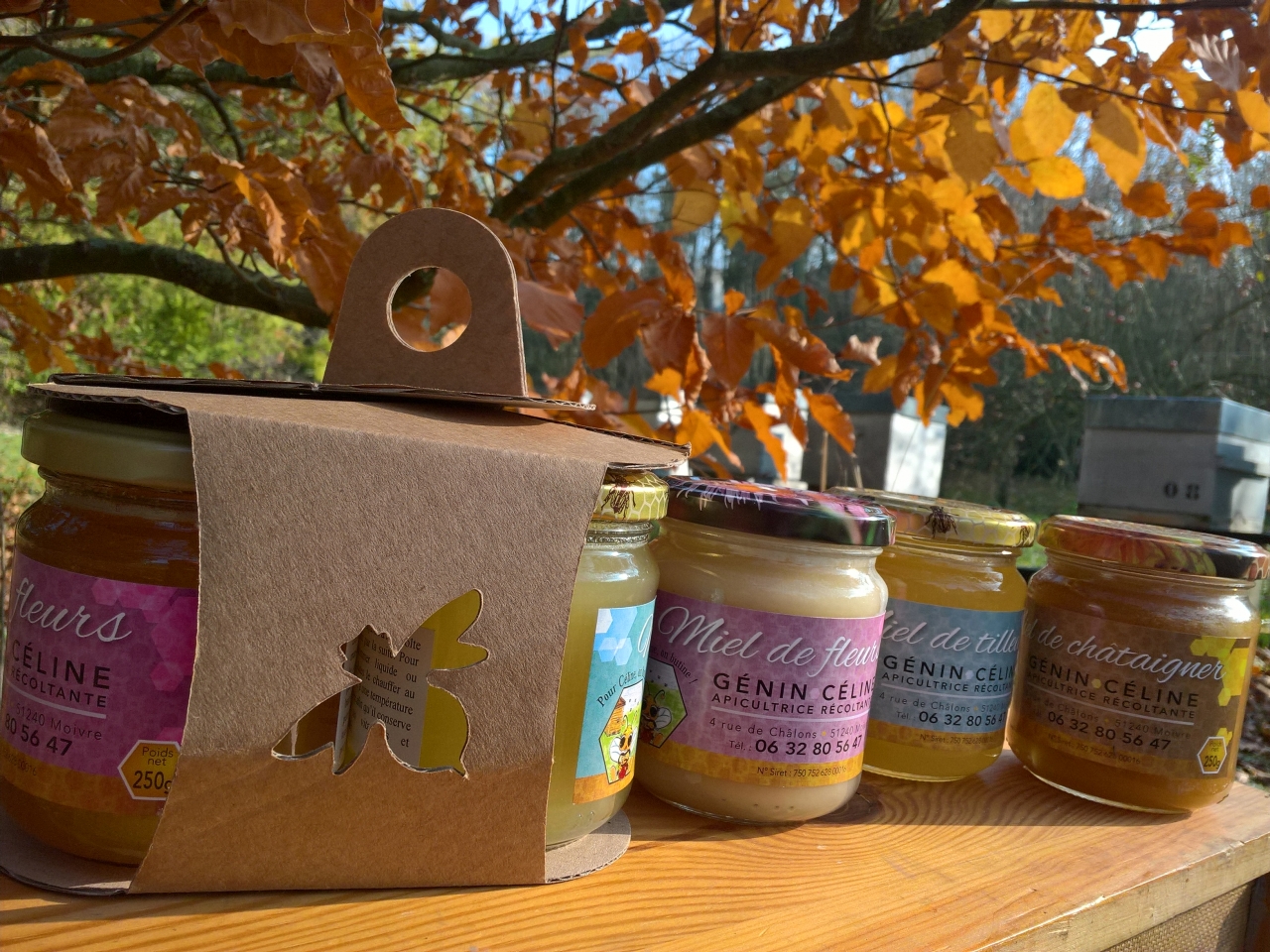 Lot de 3 kits de dégustation de miel de 250 g - Coffret cadeau - Naturel -  Miel à apprendre à connaître dans une boîte cadeau pratique en carton -  Contient des