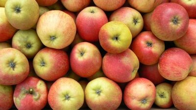 Pommes jubilé