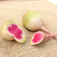 Radis asiatique pastèque